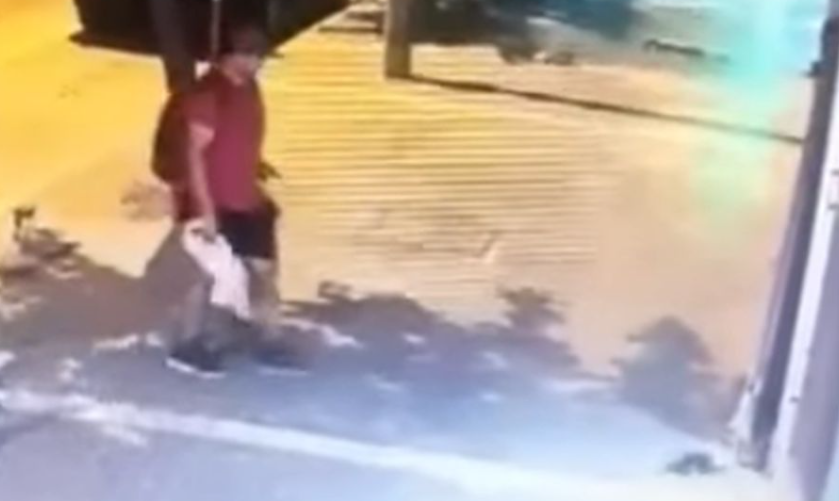 Θεσσαλονίκη: Διδάκτωρ στο ΑΠΘ ο 39χρονος που σκότωσε το γατάκι (vid)
