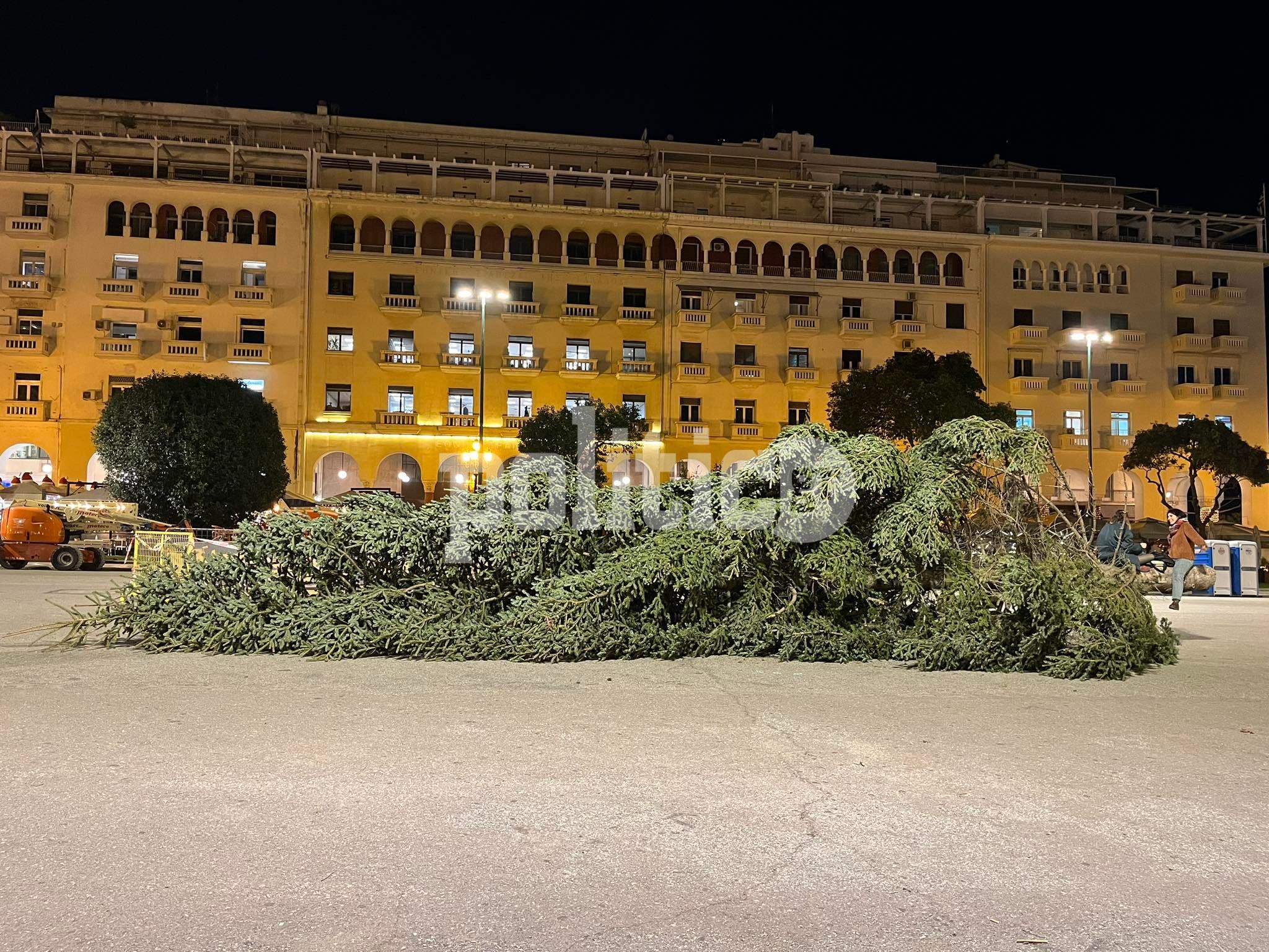 Θεσσαλονίκη: Έφτασε στην πλ. Αριστοτέλους το χριστουγεννιάτικο δέντρο από τον Ταξιάρχη (pics)
