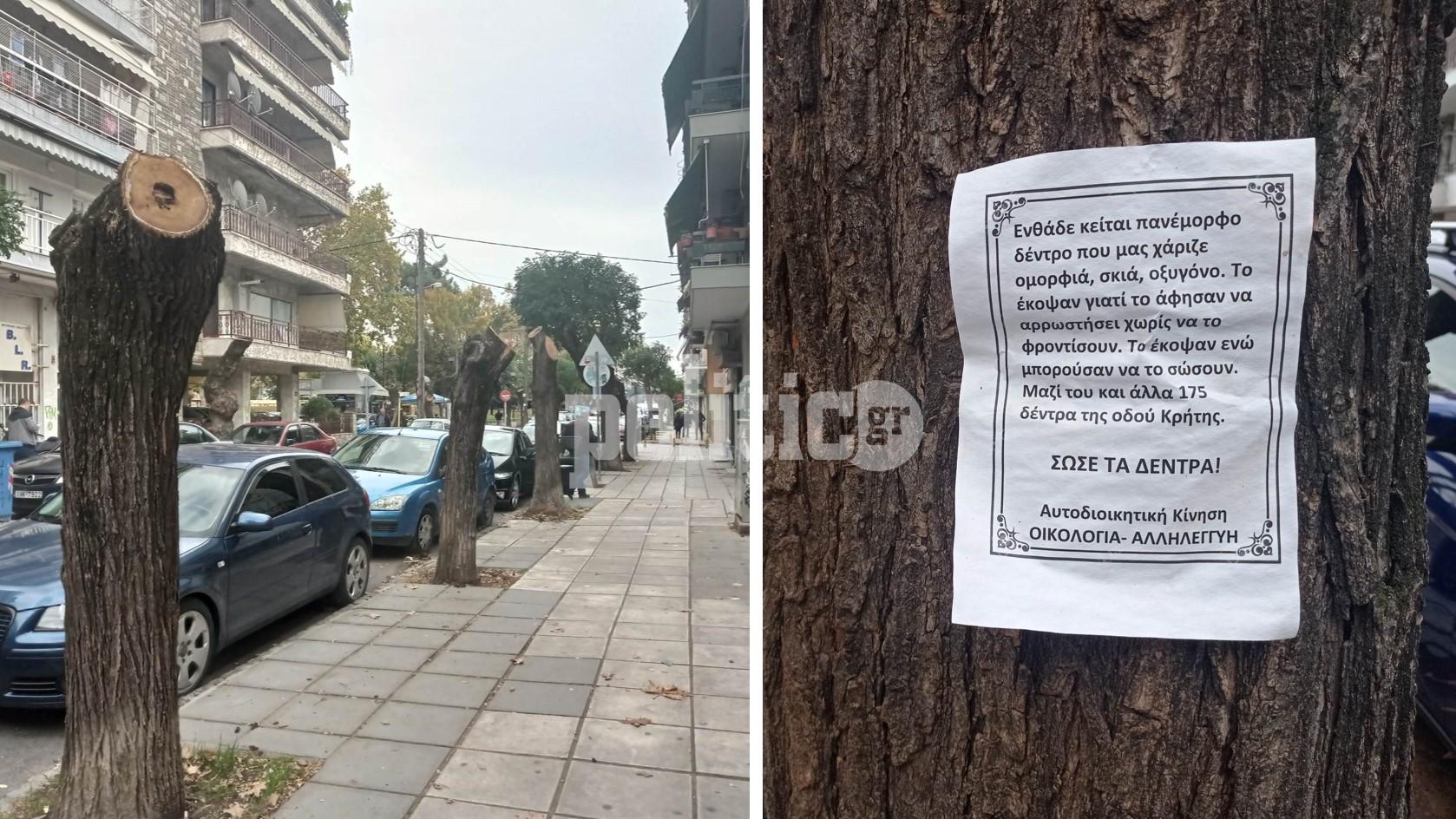 Θεσσαλονίκη: Κηδειόχαρτα πάνω σε κατακρεουργημένα δέντρα στην οδό Κρήτης (pics)