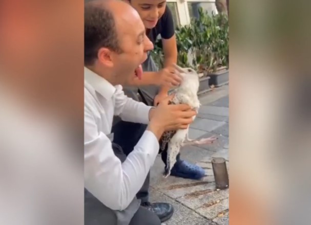 Τουρκία: Άνδρας επιχείρησε να φιλήσει γλάρο και παραλίγο να του ξεριζώσει τη γλώσσα (vid)