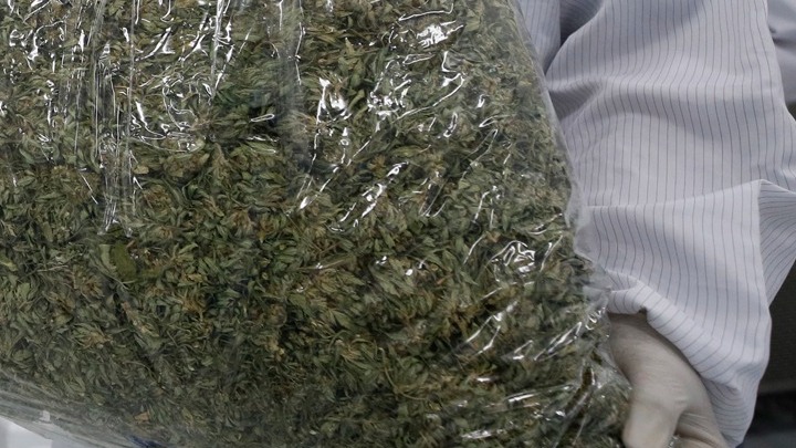 Κόστα Ρίκα: Κατασχέθηκαν 3,2 τόνοι κάνναβης που μετέφεραν ταχύπλοα
