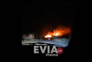 Φωτιά στα Ψαχνά Εύβοιας