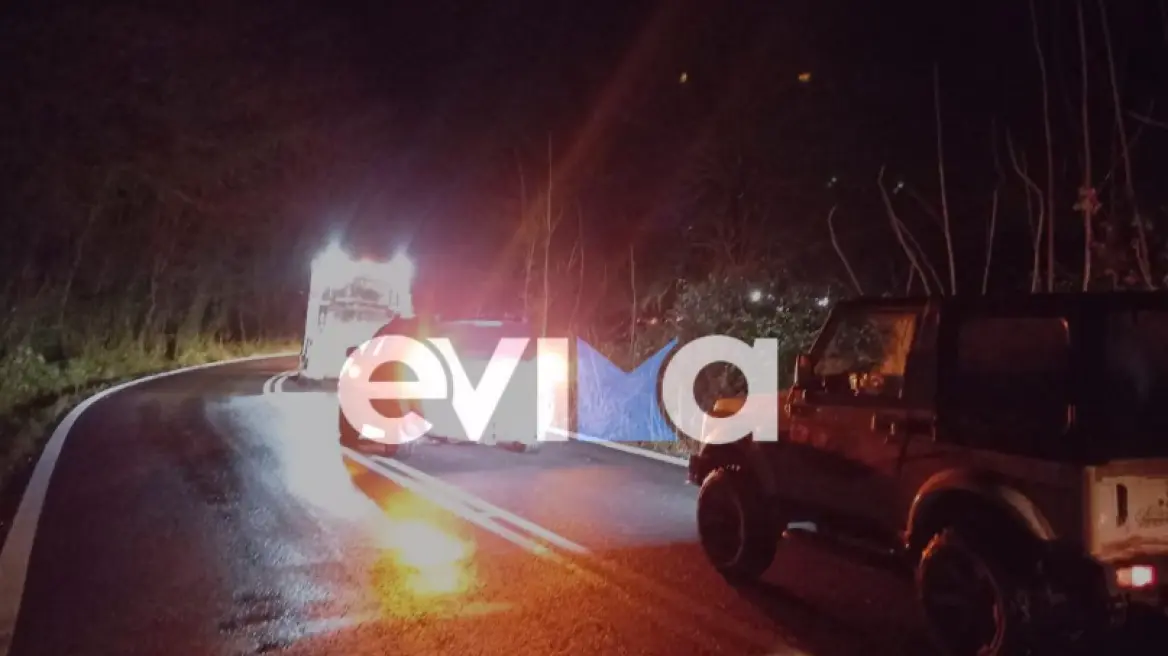 Κακοκαιρία στην Εύβοια – Πλατάνια έπεσαν στον δρόμο από τους ισχυρούς ανέμους