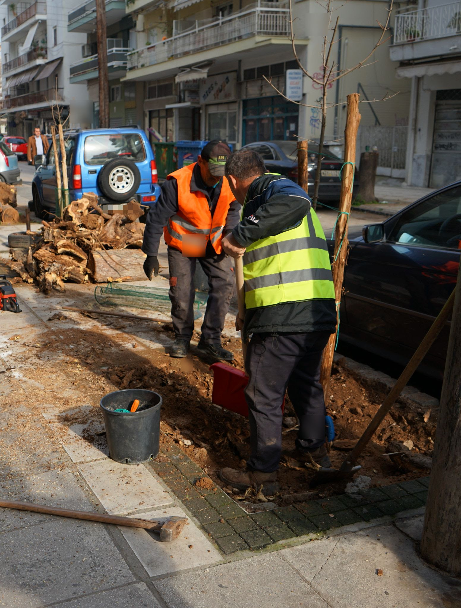 Δήμος Θεσσαλονίκης: Εκτεταμένο πρόγραμμα δενδροφυτεύσεων στην οδό Κρήτης