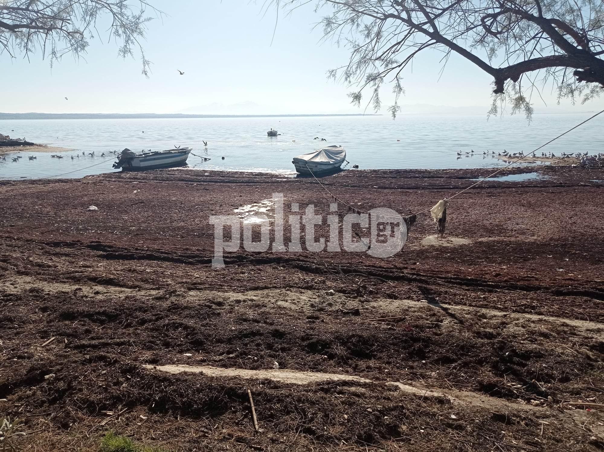 Καλαμαριά: Δυστοπικό το τοπίο στην παραλία της Νέας Κρήνης (ΦΩΤΟ & ΒΙΝΤΕΟ)