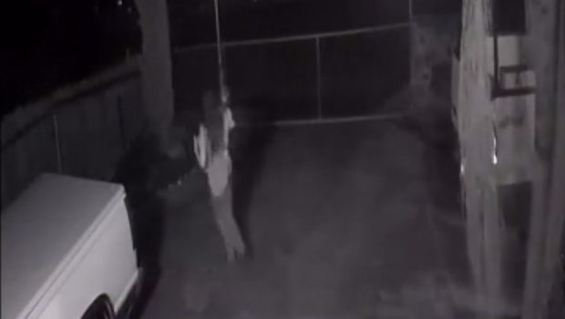Καλιφόρνια: Πετάει το 10 μηνών μωράκι της πάνω από ένα φράχτη για να σωθούν από τους εκτελεστές