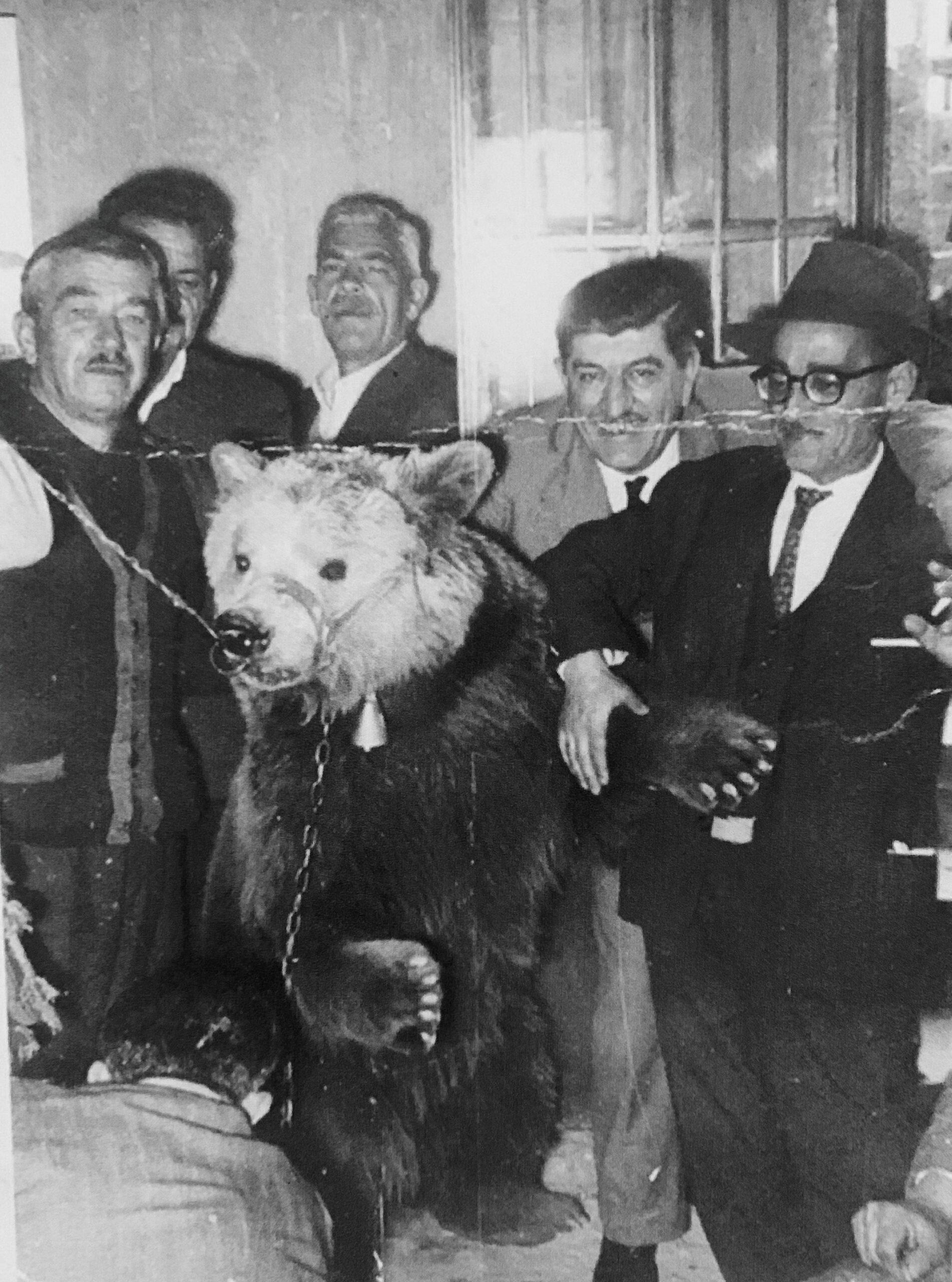 Λόγιες και Αρχαίες Φράσεις που χρησιμοποιούμε ακόμη και σήμερα! – Δείτε ποιες είναι αυτές