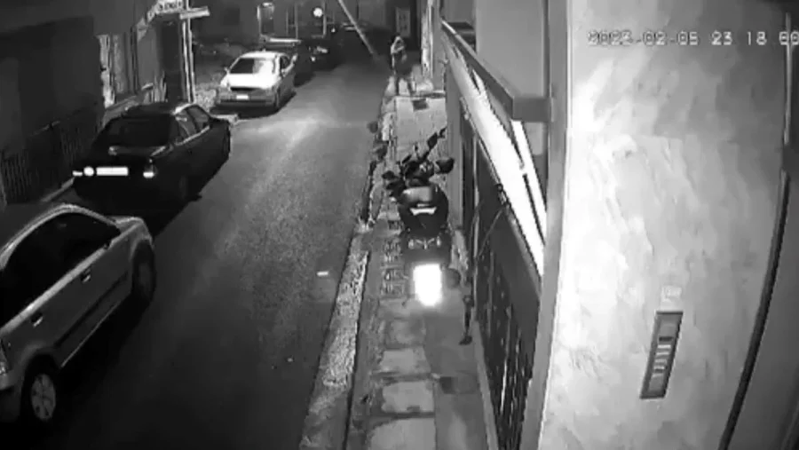 Αττική: Απάνθρωπη ενέργεια στο κέντρο – Χτύπησε μέχρι θανάτου γάτα