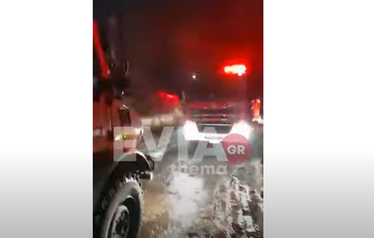 Φωτιά σε πτηνοτροφική μονάδα στην Εύβοια (BINTEO)