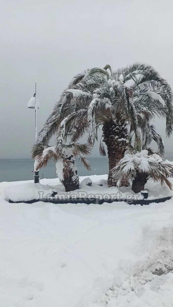 Φθιώτιδα: Έφτασε τους 40 πόντους το χιόνι δίπλα στο κύμα – Εντυπωσιακές εικόνες