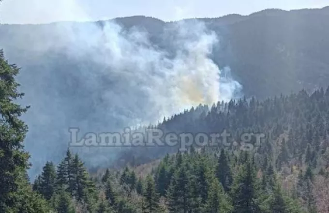 Πυρκαγιά στο δάσος Τυμφρηστού – Μεγάλη κινητοποίηση της Πυροσβεστικής