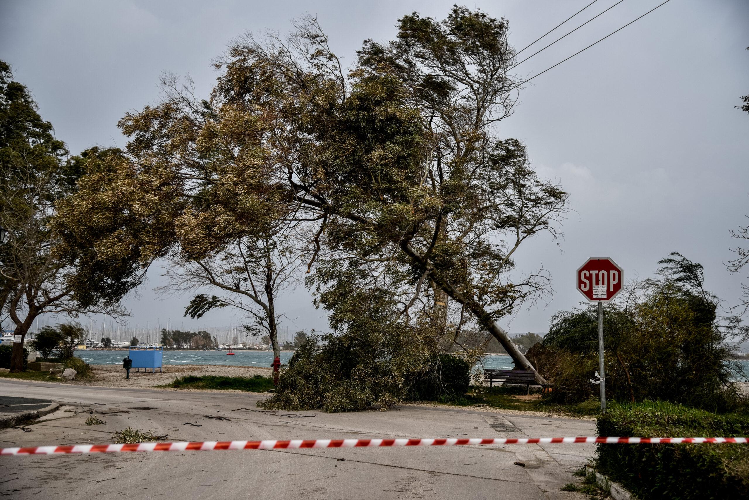Καιρός: Προειδοποιήσεις για ισχυρούς ανέμους το επόμενο 48ωρο