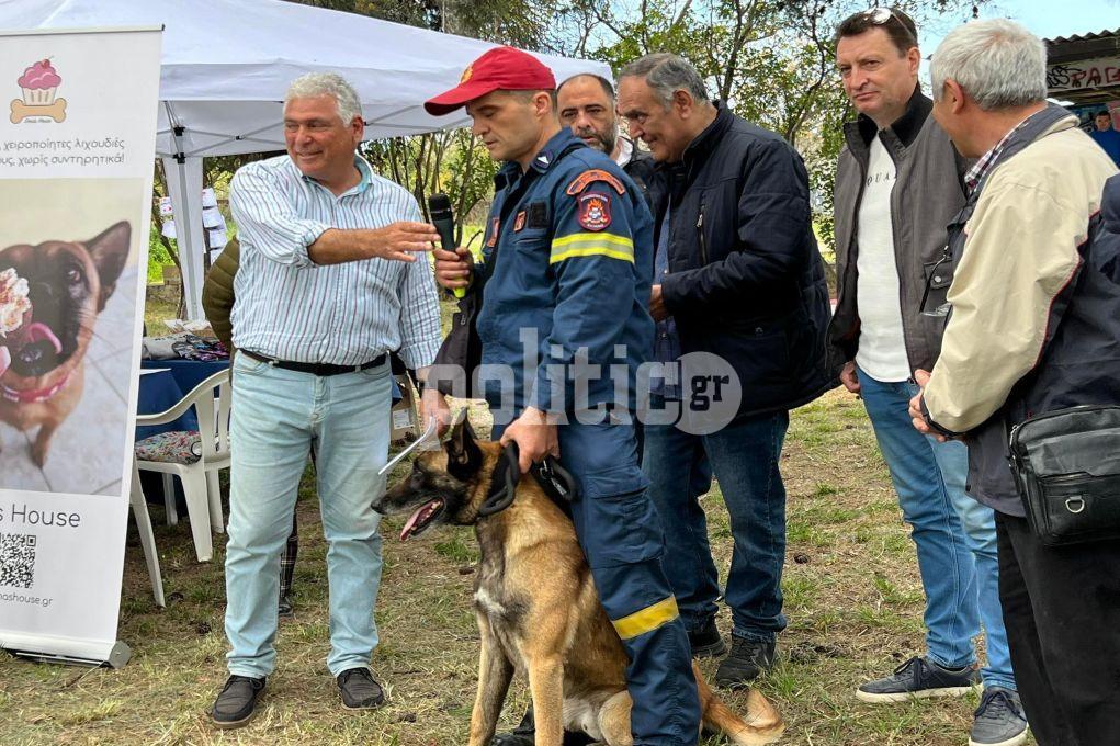Γιορτή υιοθεσίας αδέσποτων ζώων στην Καλαμαριά – Βραβεύτηκαν διασώστης και σκύλος της ΕΜΑΚ που επιχείρησαν στην Τουρκία (ΦΩΤΟ-ΒΙΝΤΕΟ)