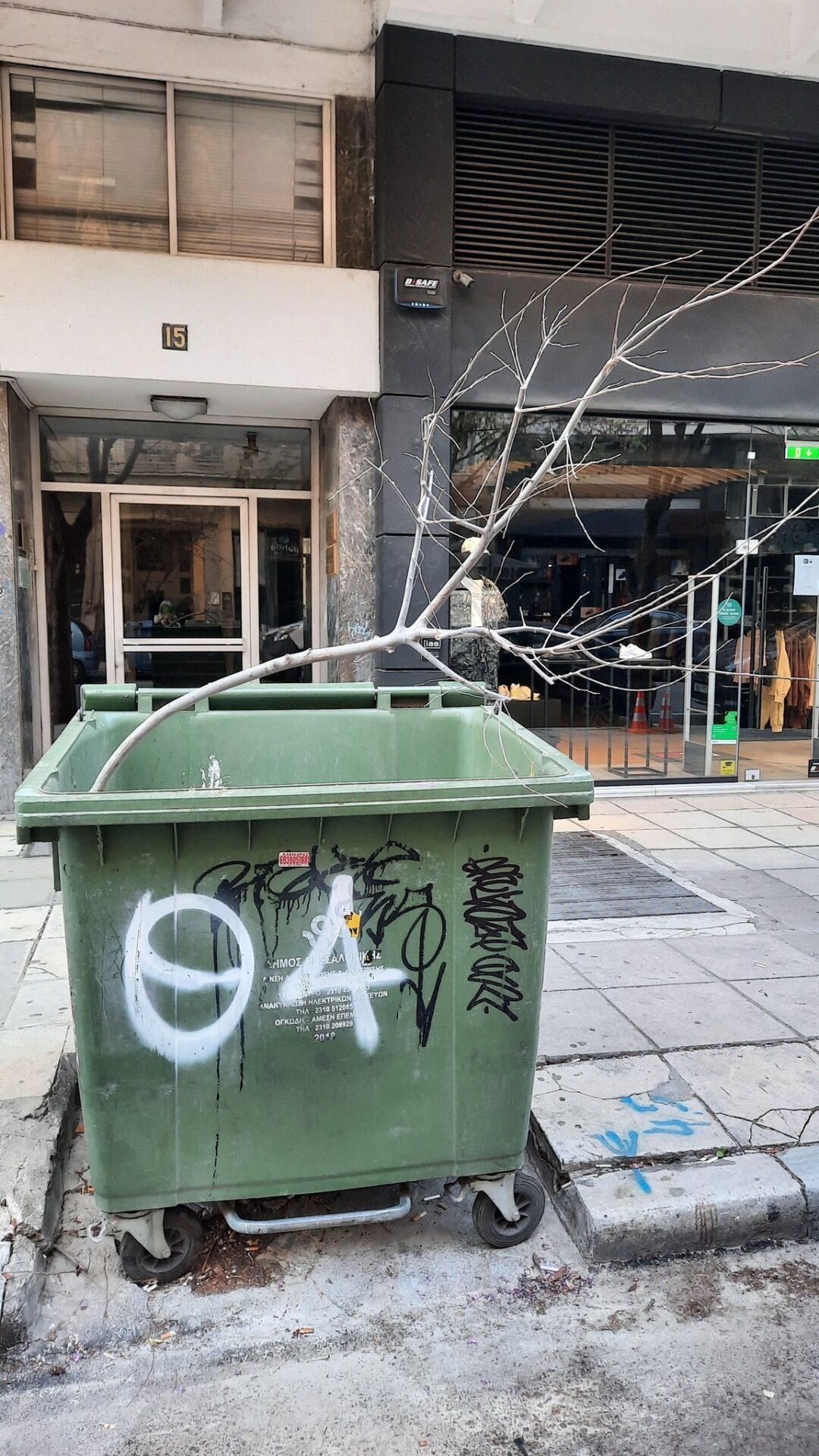 Τσιμισκή: Ξερίζωσαν δέντρο και το πέταξαν στον κάδο (ΦΩΤΟ)