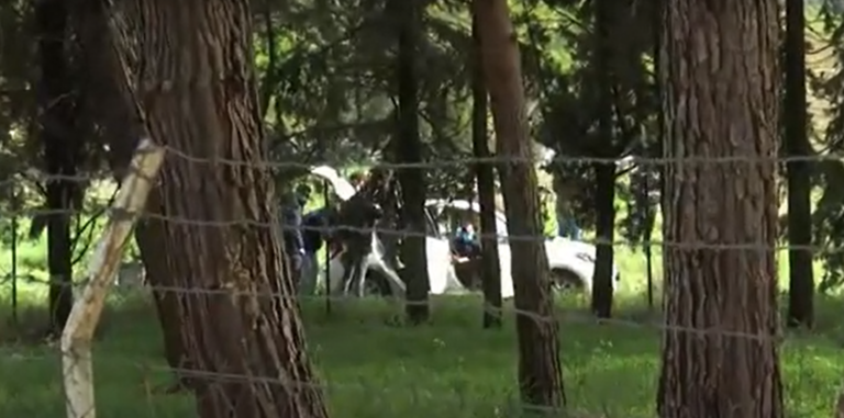 Θεσσαλονίκη: Ο γιος της πυροβόλησε την 71χρονη που βρέθηκε νεκρή στη Χαλκηδόνα