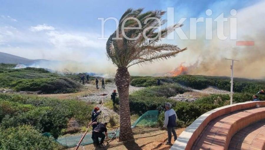 Μάλια Κρήτης: Ανεξέλεγκτη φωτιά – Μεγάλη κινητοποίηση της πυροσβεστικής