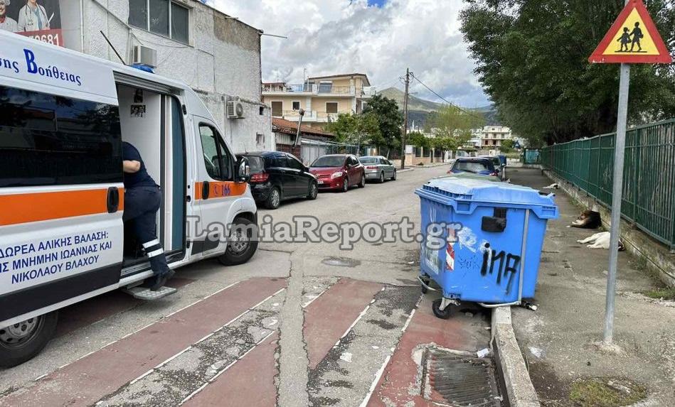 Λαμία: Αδέσποτα σκυλιά δάγκωσαν έναν άνδρα ενώ περπατούσε στον δρόμο