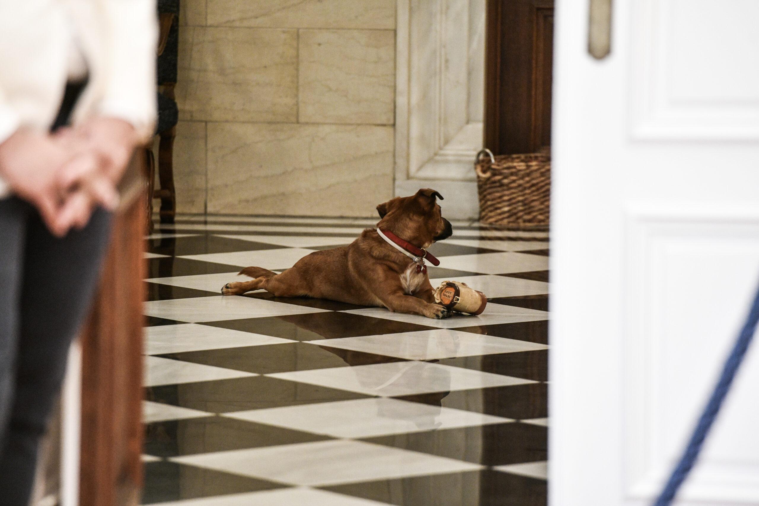 Εκλογές 2023: Έφυγε με… ταξί ο Πίνατ για τα γραφεία της ΝΔ