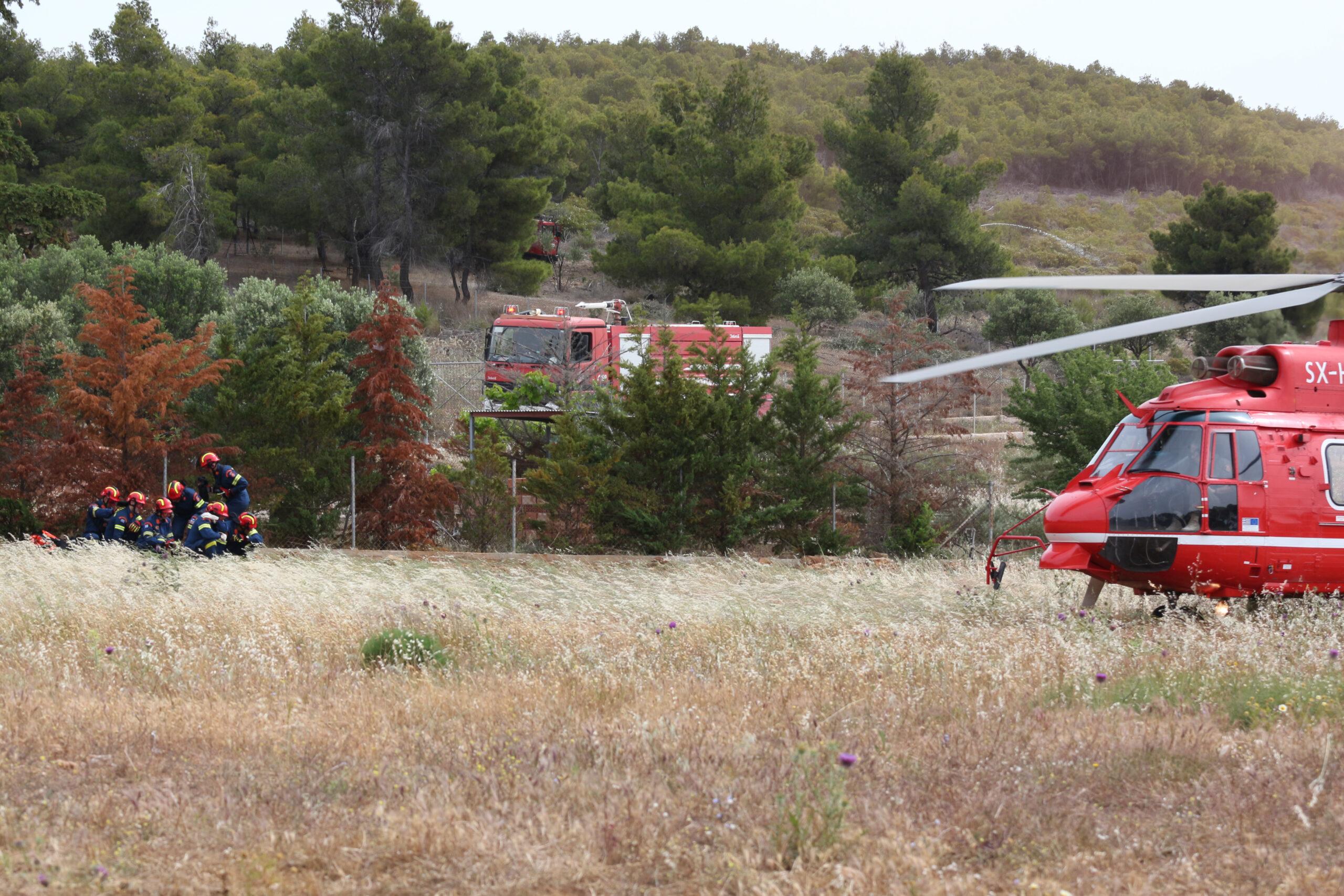 Κόρινθος: Πυρκαγιά στους Αγίους Θεοδώρους