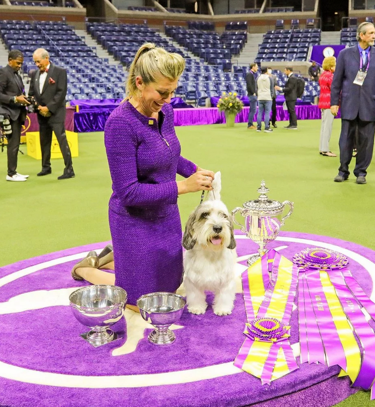 O 6χρονος σκύλος που κέρδισε σε διεθνές «Dog Show» ανάμεσα σε 2.500 διαγωνιζόμενους (ΦΩΤΟ)