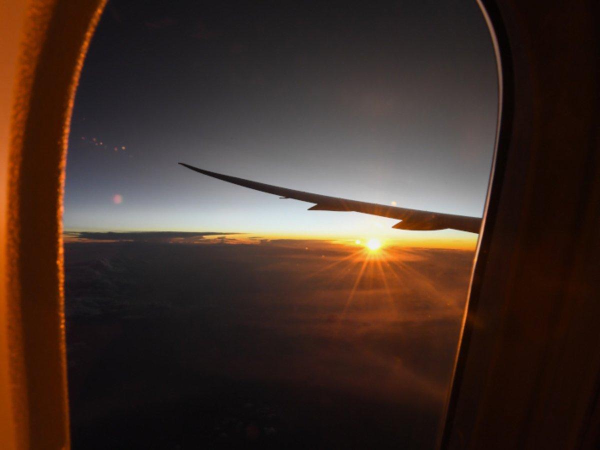 Περιπέτεια με πτήση στο Ηράκλειο: «Σας ζητώ συγγνώμη, αλλά μόλις καταφέραμε να μη σκοτώσουμε ένα λαγό»