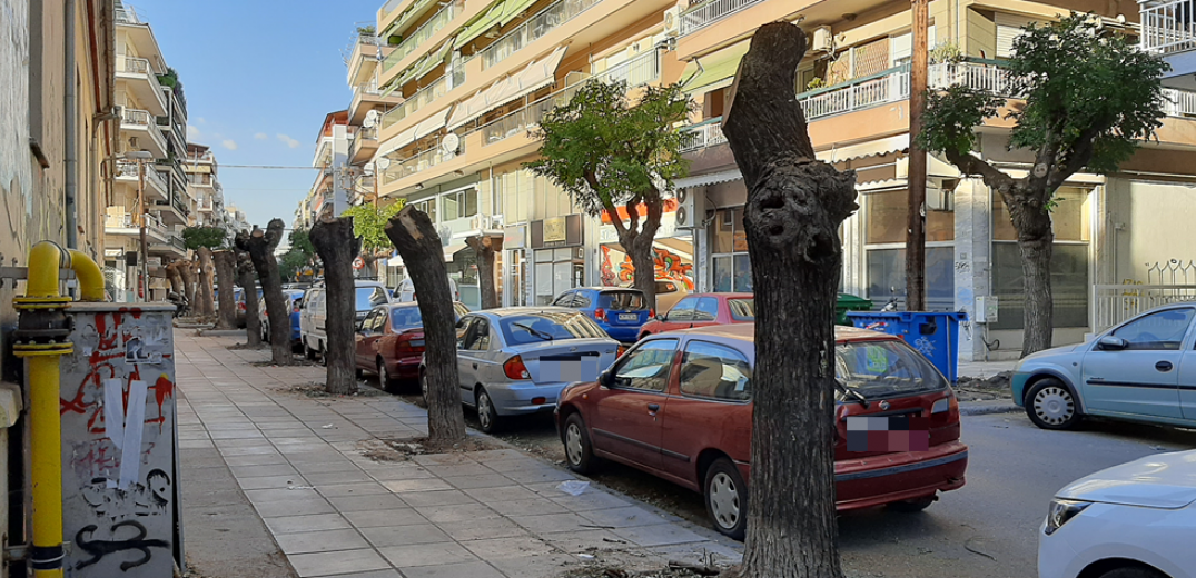 Θεσσαλονίκη: Συγκέντρωση διαμαρτυρίας για τις κοπές δέντρων