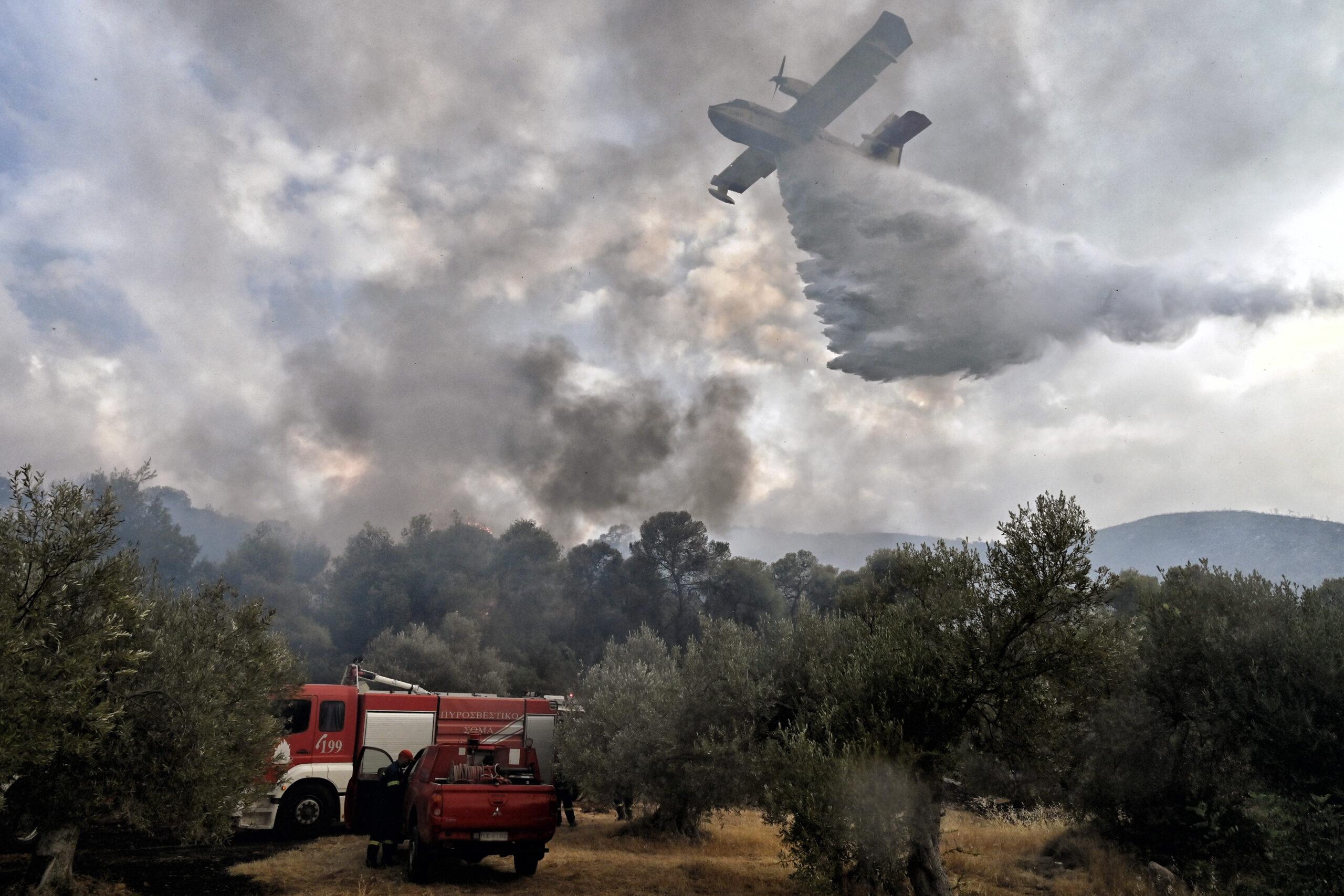Δύο φωτιές στην Κρήτη: Κινητοποιήθηκαν επίγειες και εναέριες δυνάμεις