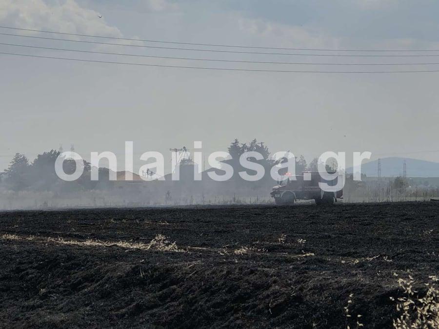 Λάρισα: Φωτιά κατέκαψε έκταση στη Γεωργική Σχολή, επί ποδός η πυροσβεστική
