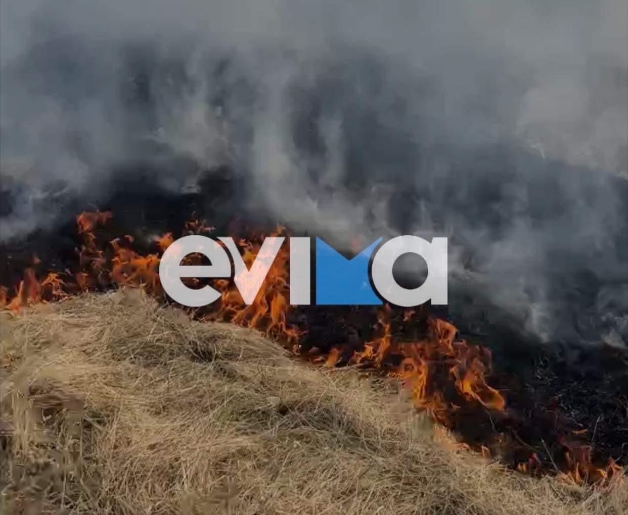 Εύβοια: Πυρκαγιά σε χωριό κοντά στη Χαλκίδα – Δίνει μάχη με τις φλόγες η πυροσβεστική