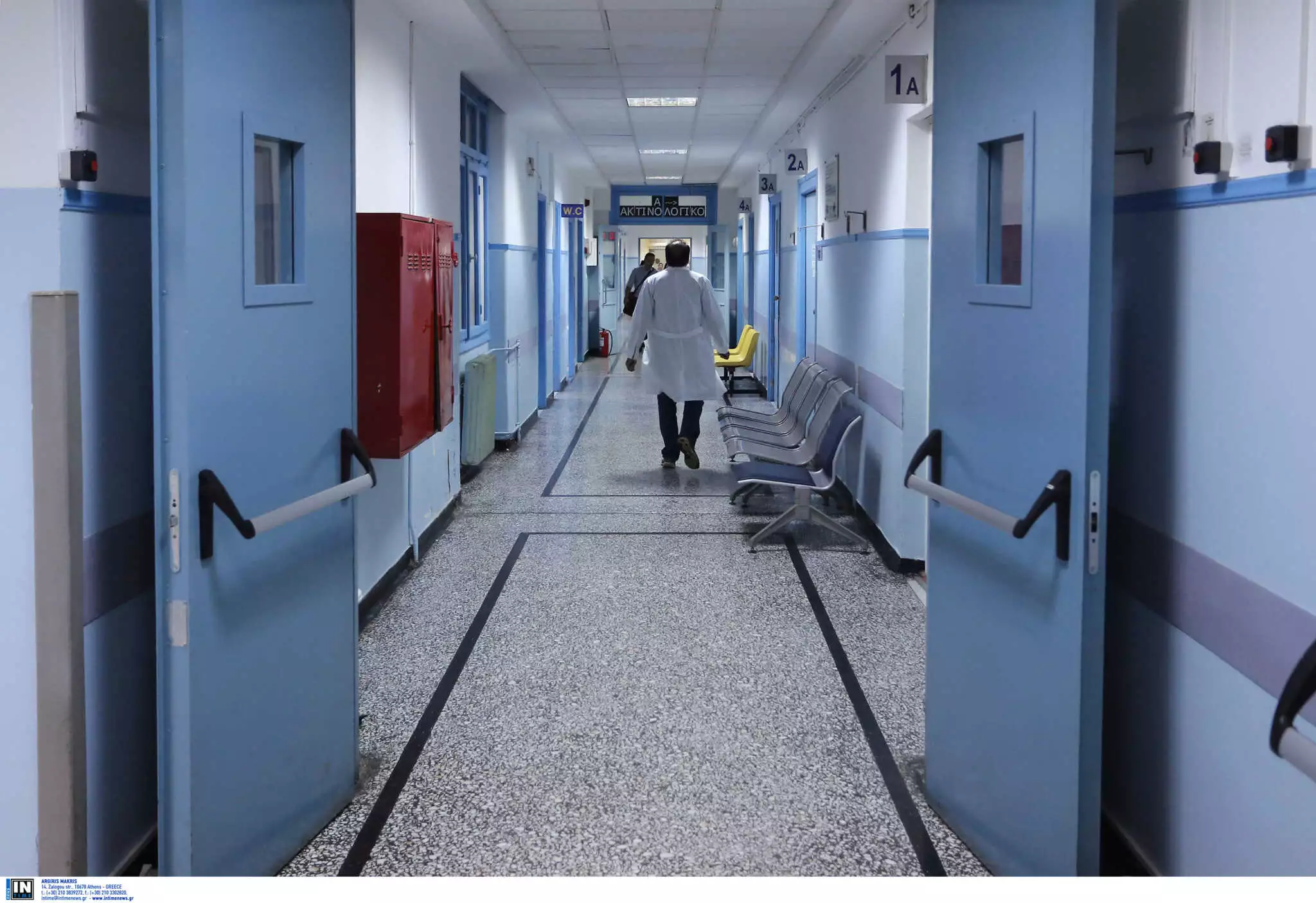 Φθιώτιδα: Στο νοσοκομείο γυναίκα μετά από επίθεση αδέσποτων σκύλων