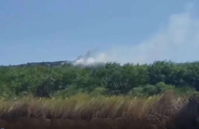 Κεφαλονιά: Φωτιά στην περιοχή Χελμάτα (vid)