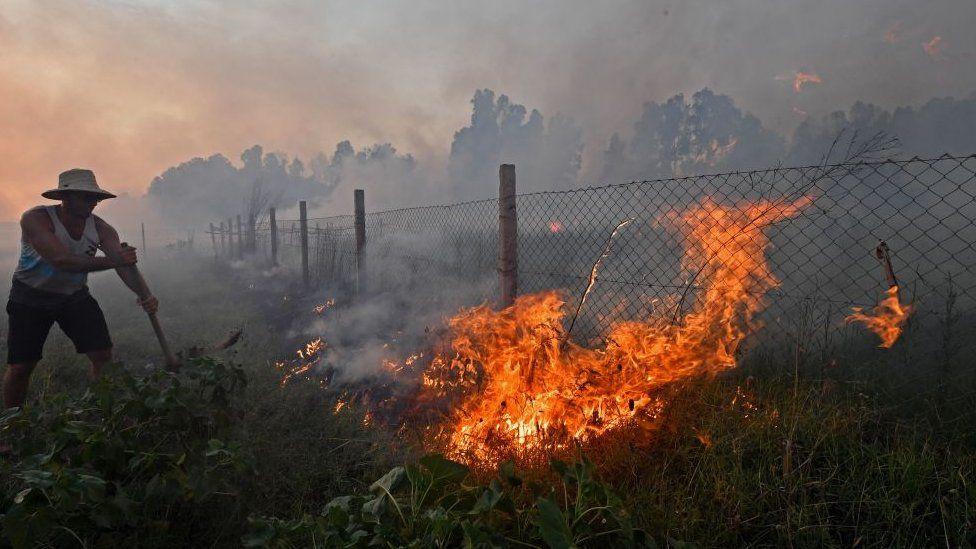 Πυρκαγιές στην Αλγερία: Τουλάχιστον 34 νεκροί, ανάμεσά τους 10 στρατιωτικοί