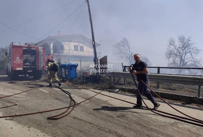 Αργολίδα: Φωτιά στον Άγιο Δημήτριο – Τελευταία στιγμή σώθηκαν κατοικίες