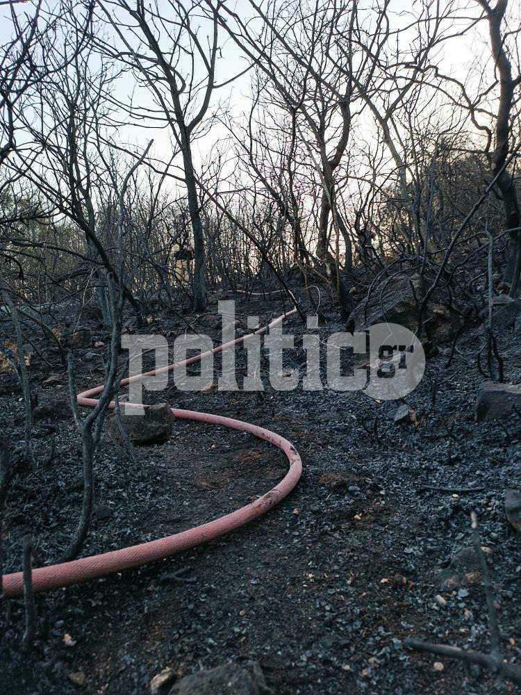 Υπό έλεγχο η φωτιά στον οικισμό Προφήτη δίπλα στην Εγνατία Οδό (pics)