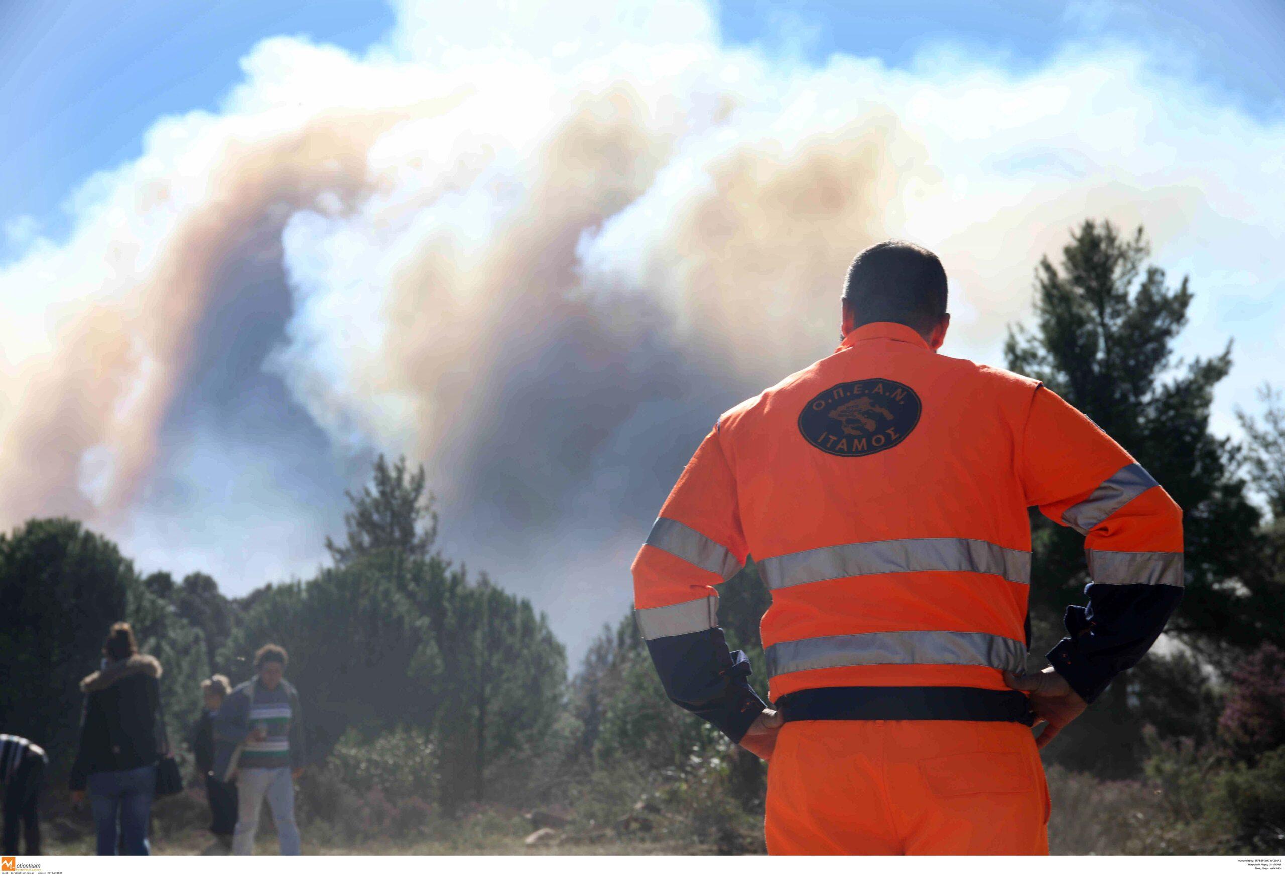 Βοιωτία: Πυρκαγιά στην Τανάγρα