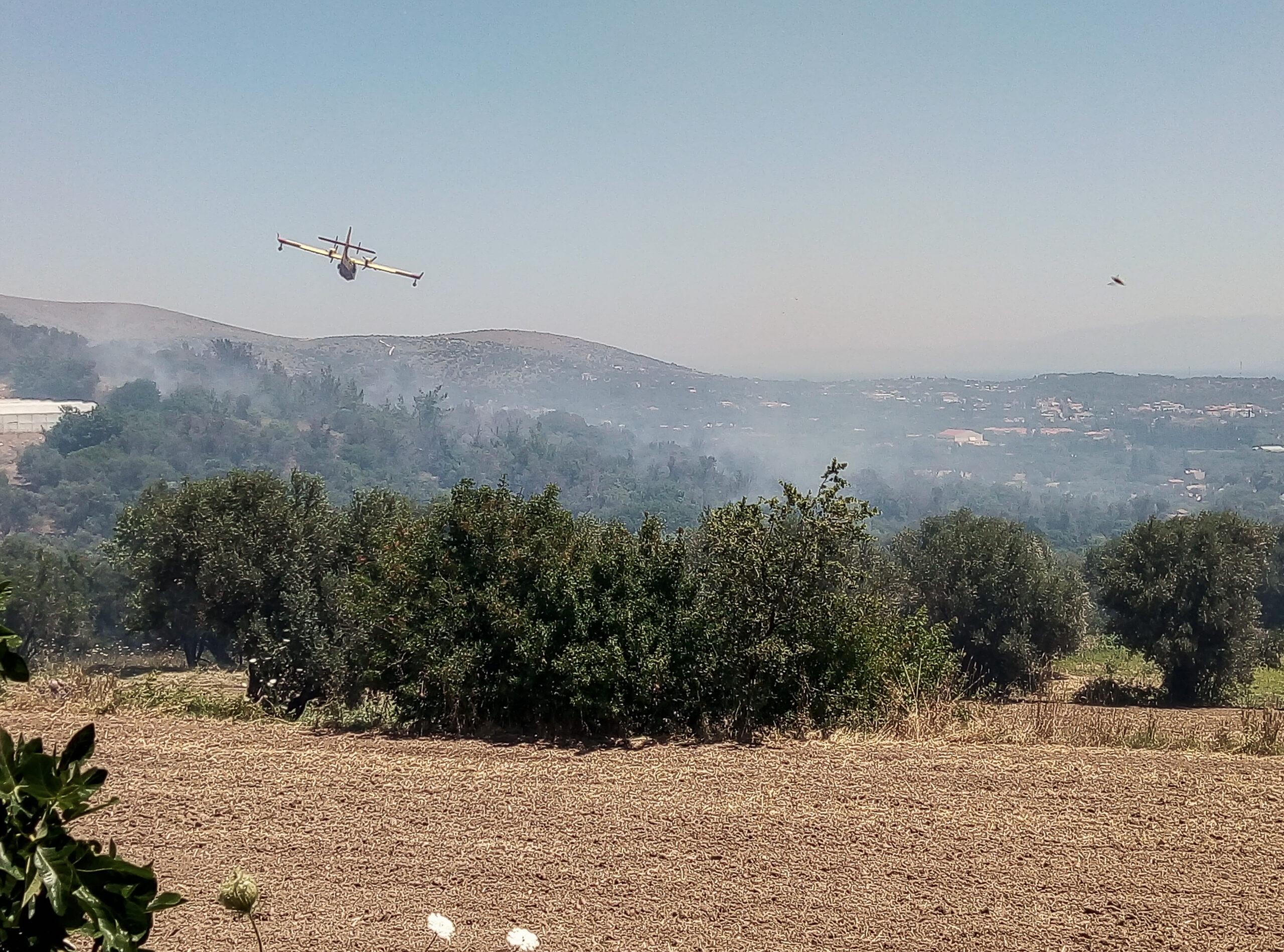 Χίος – Φωτιά: Διαρκείς προσπάθειες από τα εναέρια μέσα – Δικογραφίες σε βάρος 35χρονου οδηγού (ΒΙΝΤΕΟ)