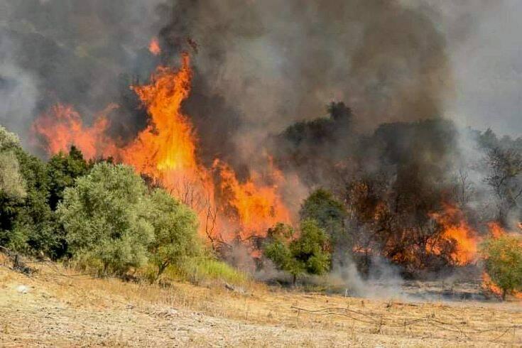 Καλύβια: Ξέασπασε φωτιά σε ξερόχορτα και Έκλεισαν οι δρόμοι της περιοχής