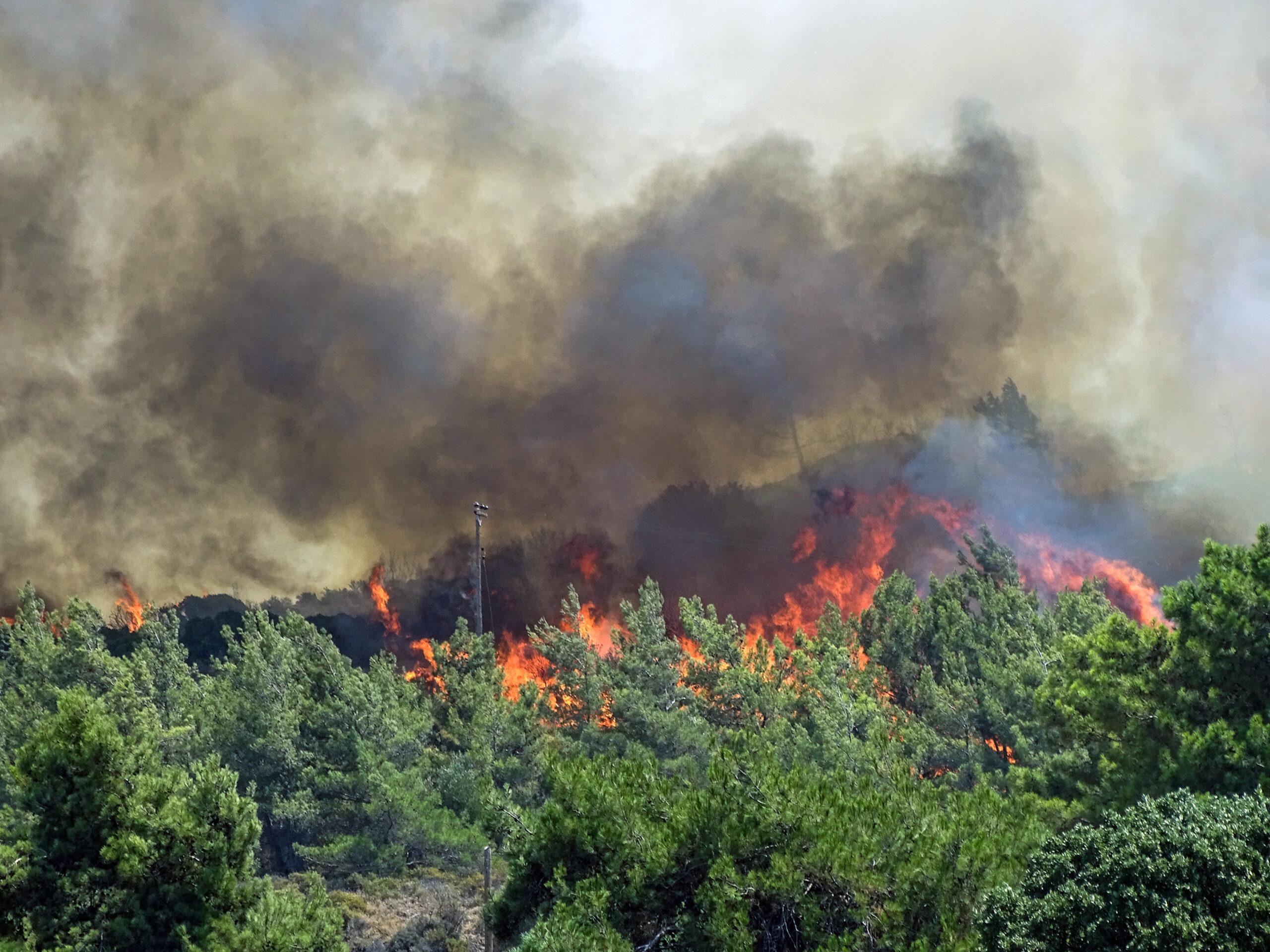 Όλγα Κεφαλογιάννη: Η Ρόδος πληροί τις προϋποθέσεις ενός ασφαλούς προορισμού