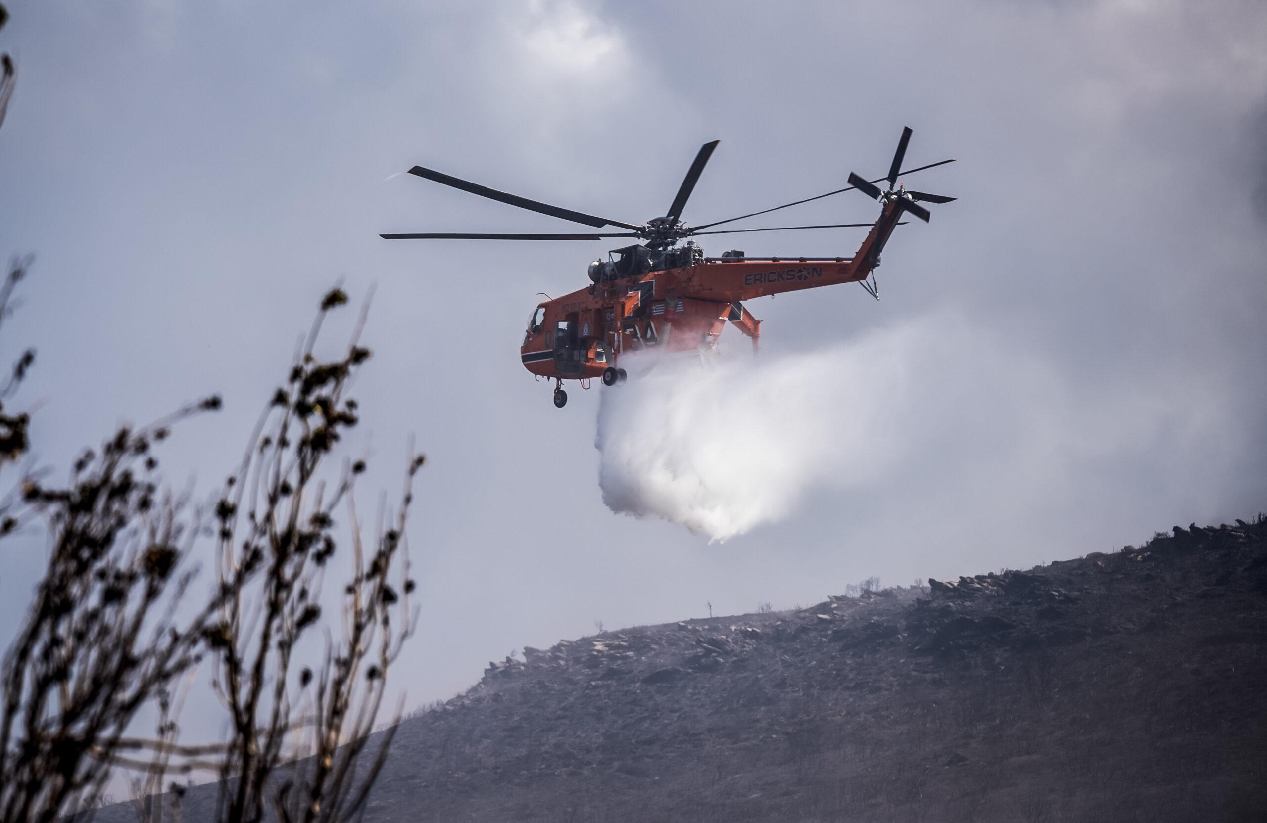 Εύβοια: Ολονύχτια μάχη με τις φλόγες – Επιχειρούν εναέρια μέσα (ΒΙΝΤΕΟ)