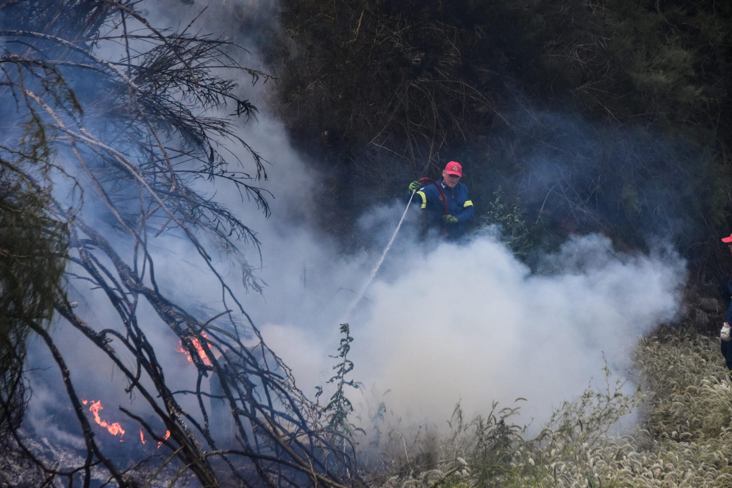 Ελλάδα: 49 δασικές πυρκαγιές σε ένα 24ωρο – Τρία μέτωπα στην Κρήτη