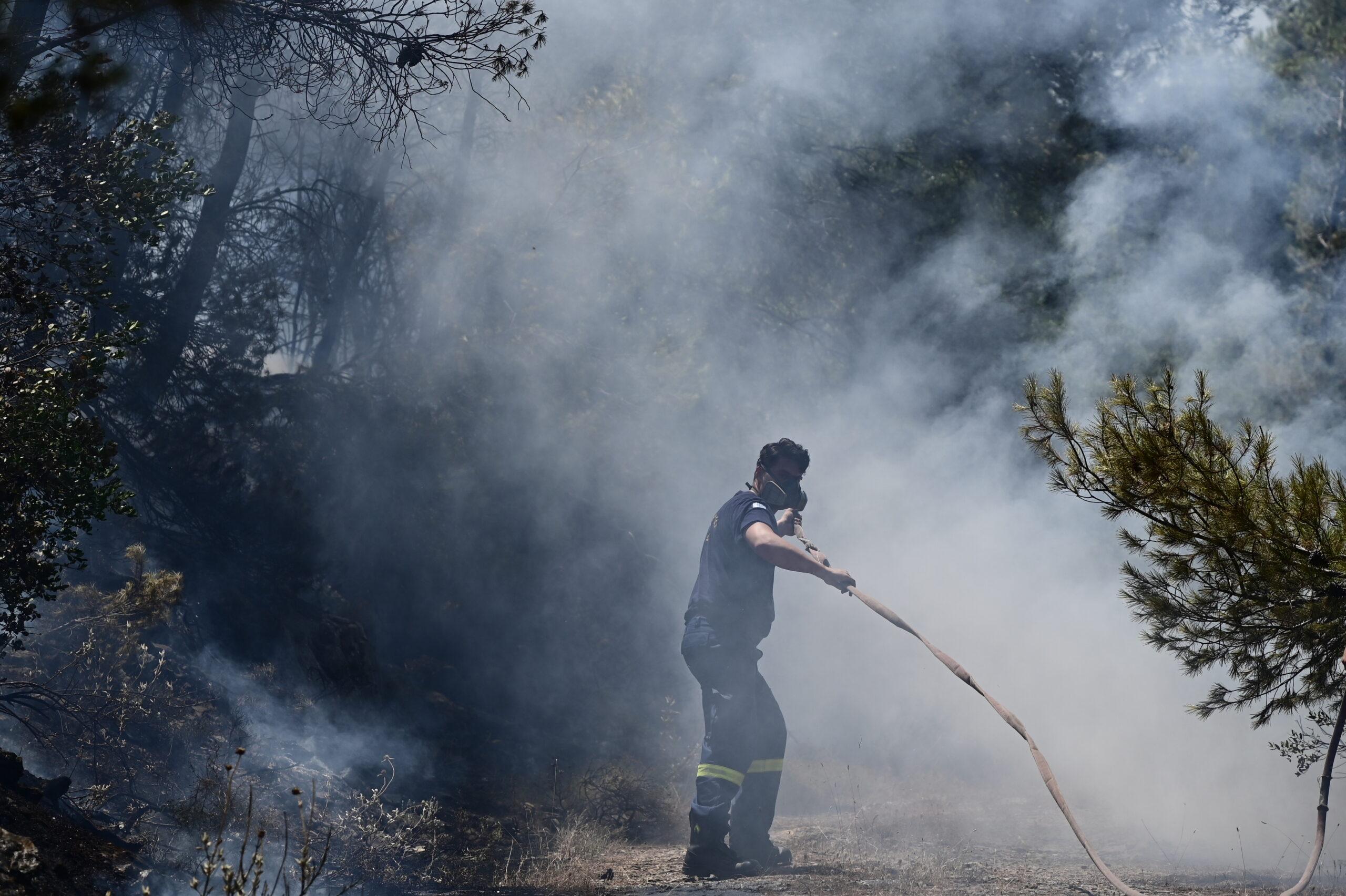 Ηλεία: Ξέσπασε φωτιά στο χωριό Ηράκλεια