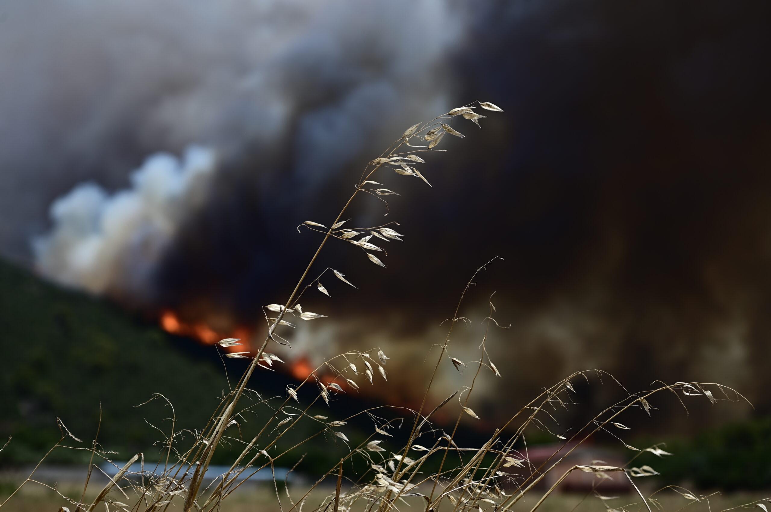 Η φωτιά στο Λουτράκι πλησιάζει στα διυλιστήρια, δήλωσε ο αντιπεριφερειάρχης Κορινθίας