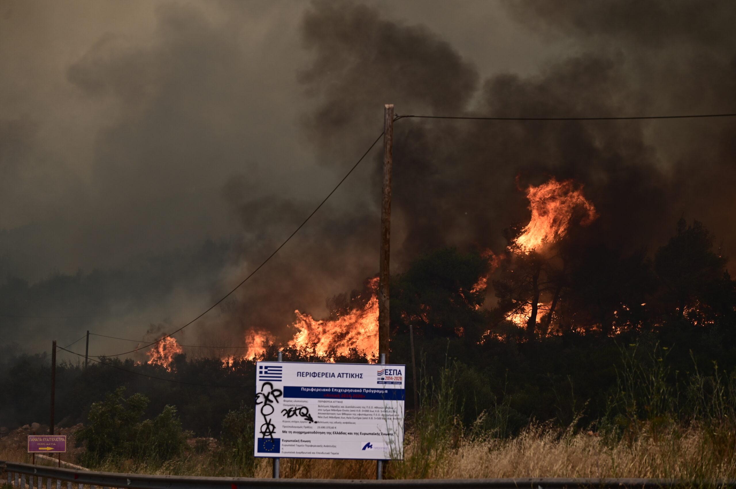 Φωτιά στα Δερβενοχώρια: Οι φλόγες έχουν περικυκλώσει τη Νέα Ζωή Μάνδρας