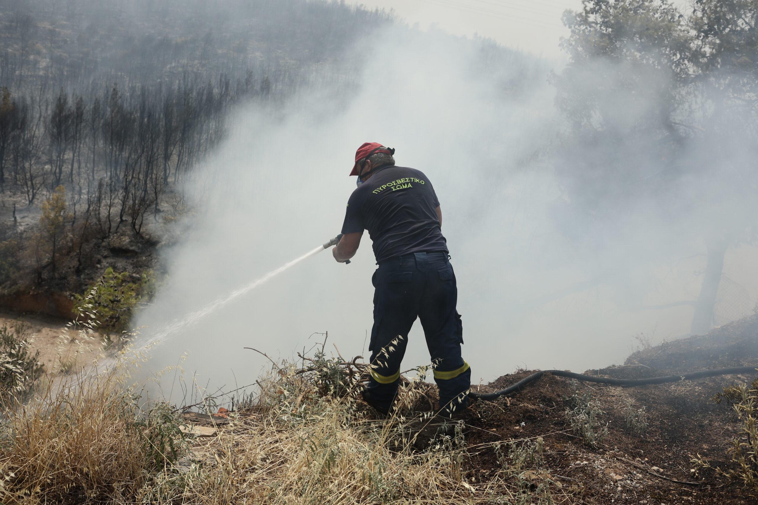 Φωτιά στον Όλυμπο Καλυβίων Σαρωνικού: Πέμπτη μέρα χωρίς νερό