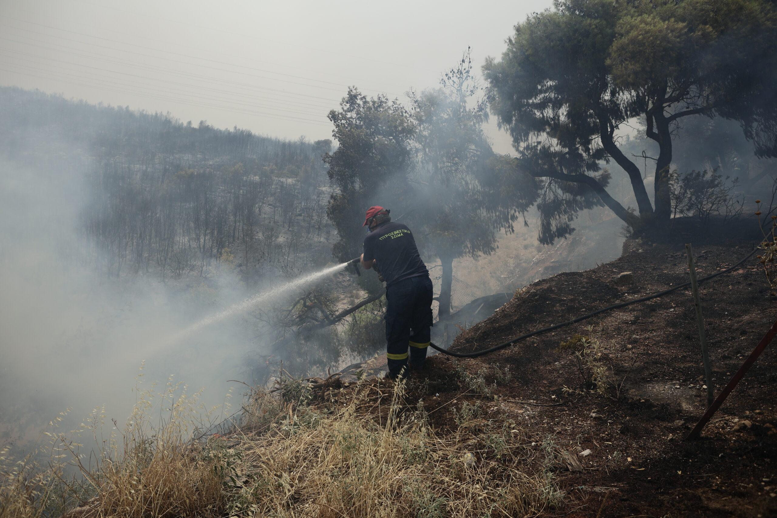 Θ. Βασιλακόπουλος – Πυρκαγιές: «Κίνδυνος για τη δημόσια υγεία» (ΒΙΝΤΕΟ)