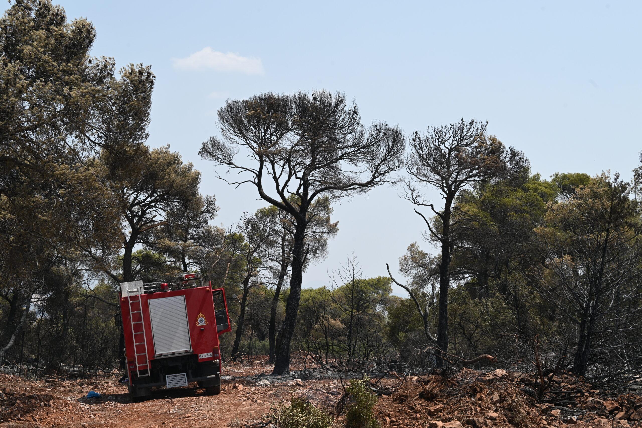 Αναζωπυρώσεις σε Δυτική Αττική, Ρόδο και Λακωνία – 79 πυρκαγιές σε όλη τη χώρα