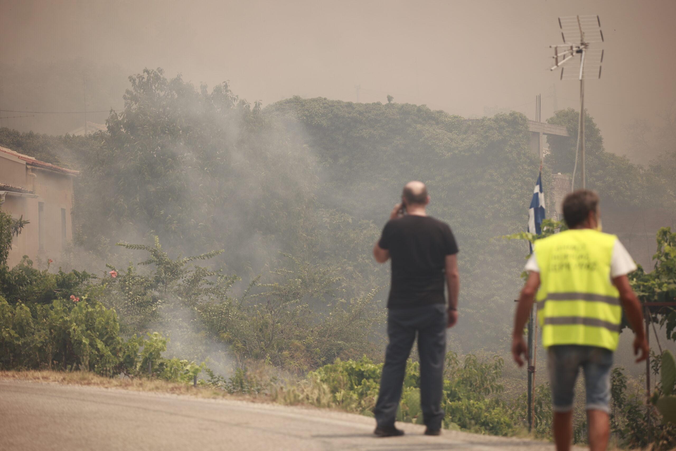Υπό μερικό έλεγχο η φωτιά στα Βίταλα Ευβοίας