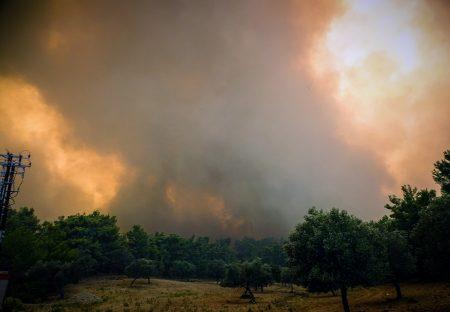 Σε ύφεση οι δύο πυρκαγιές σε Επίδαυρο, Κορινθία