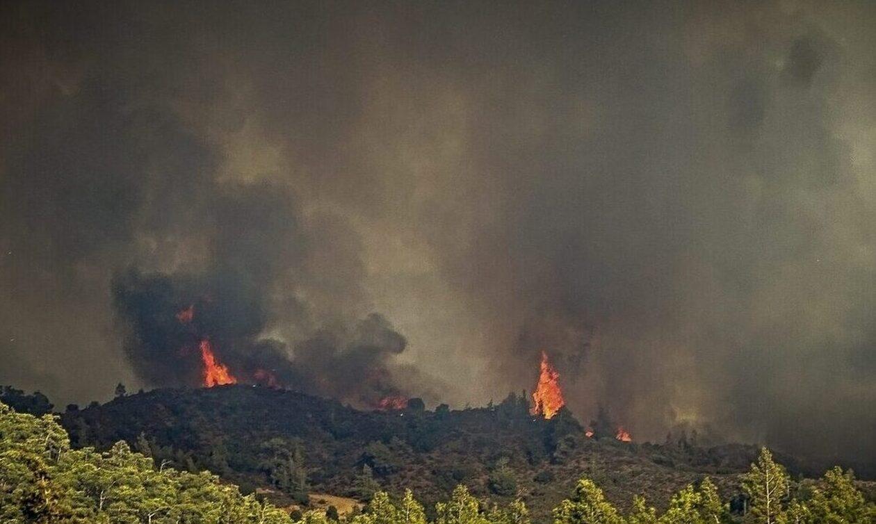 Υψηλός κίνδυνος εκδήλωσης πυρκαγιάς για αύριο στη Χαλκιδική