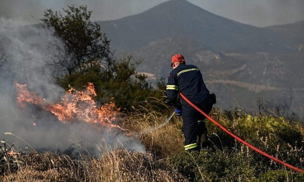 Αττική: Πυρκαγιά στον Βαρνάβα – Επιχειρούν και εναέρια μέσα